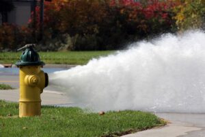 Fire Hydrant Maintenance